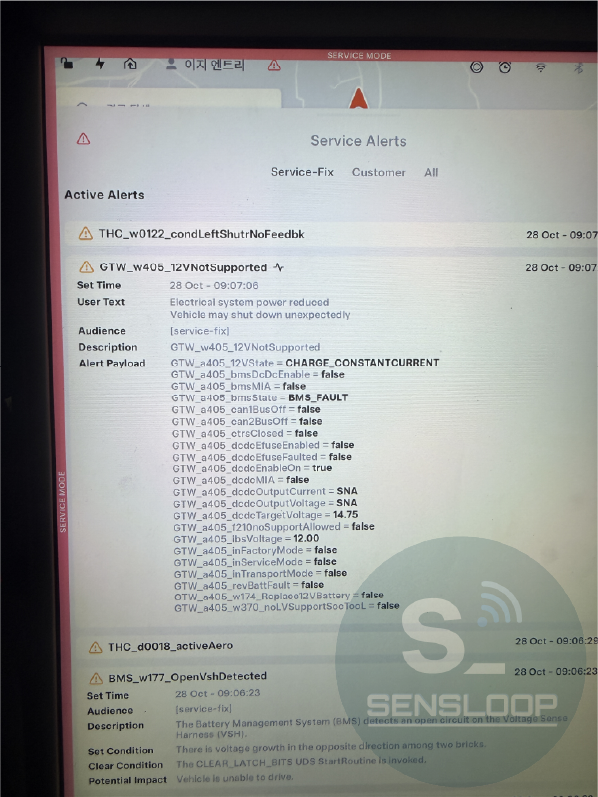테슬라 모델 S 에 발생한 무수히 많은 드