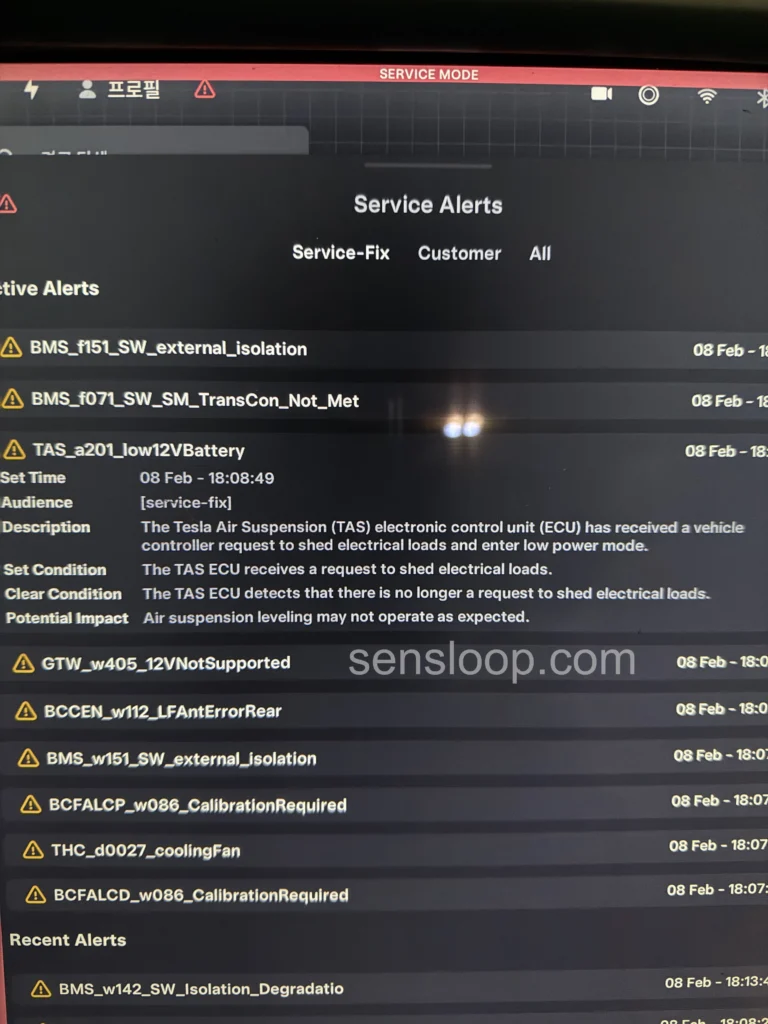 테슬라 서비스 모드 화면에서 TAS_a201 저전압 오류와 BMS_f071, BMS_f151, 12V 관련 경고가 동시에 표시된 상태
